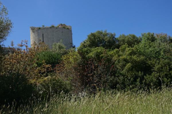 Noto Antico