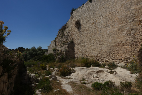 Noto Antico